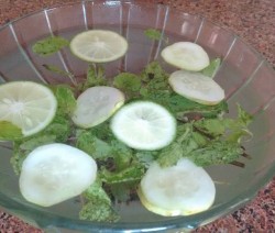 Cucumber Mint Mocktail