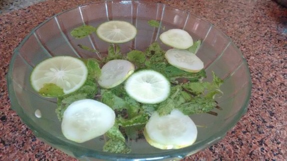 Cucumber Mint Mocktail