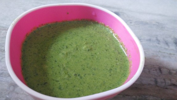 Green Chili Chutney